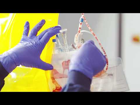 Herstellung von CAR-T-Zellen in der Medizinischen Klinik 5, Universitätsklinikum Erlangen