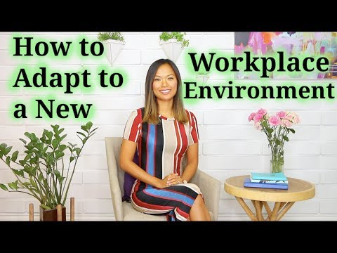 職場環境(如何適應新環境) (Workplace Environment (How to Adapt to a New One))