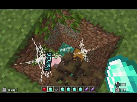 麗山國小 麥塊SDGs聯合國永續發展目標 林O萱-麥塊SDGs程式競賽-111學年第二學期