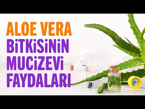 , title : 'Aloe Vera Bitkisinin 8 Faydası, Aloe Vera Neye İyi Gelir? | Sağlıklı Yaşam Sırları'