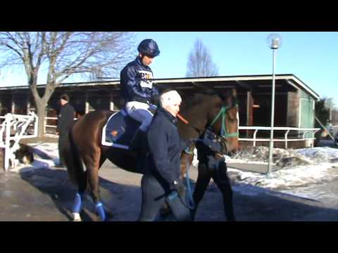 Dreams Cape påväg ner till banan