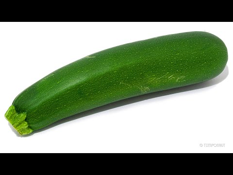 Zucchini Time Lapse