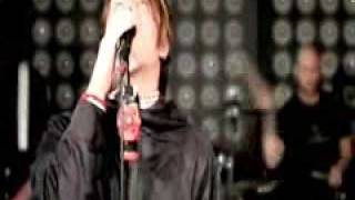 Emil bulls - Newborn