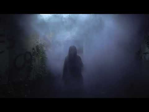 Once More Down The Rabbit Hole (Official Music Video)