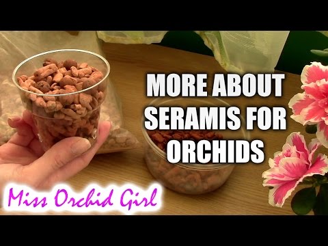 Seramis media for Orchids - proper use and considerations Video