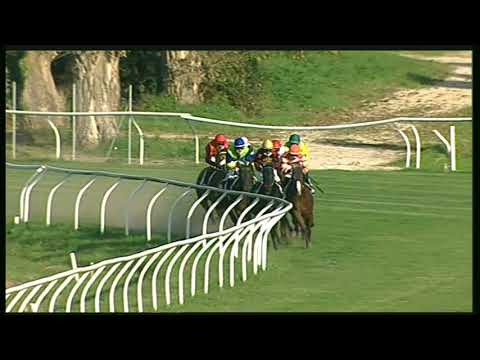 Galoppo 09/11/2020 - 4ª corsa
