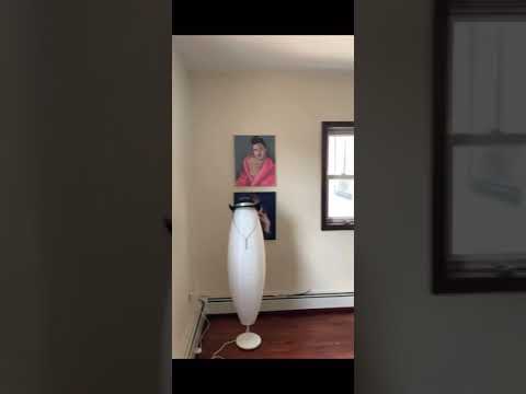 video 1