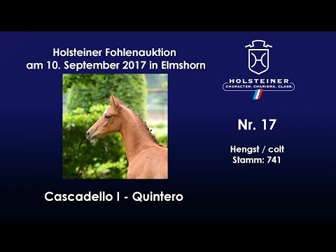 Nr. 17 v. Cascadello I - Quintero