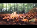 Ta-ku - We Were In Love (Patrick Baker Vocal ...