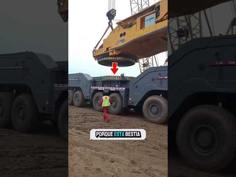 La grúa que desafía las leyes de la física