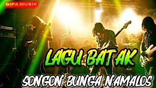Download lagu BATAK SONG ~ SONGON BUNGA NAMALOS || BEST BATAK ROCK mp3 Download lagu BATAK SONG ~ SONGON BUNGA NAMALOS || BEST BATAK ROCK mp3