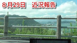 ねおこん　８月29日近況報告