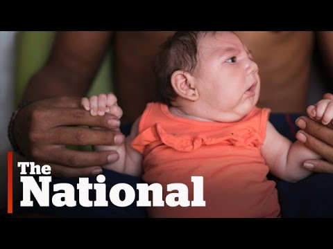 Zika Virus | How Concerned Should You Be?