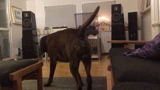 Shuggie Otis - Me And My Woman