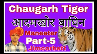The Chaugarh Tiger Part 5 🐯 चौगढ़ का आदमखोर बाघ ५ #tigerspotted #jimcorbett #maneater #leopard MQDEFAULT Thumbnail