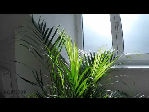 ST-172708 - Modern möblierte Kollegenwohnung am Marienplatz in Stuttgart Süd