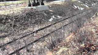 preview picture of video 'Central Massachusetts Railroad Weston MA: Concord Rd to Plain Rd Part 1.'
