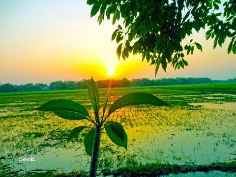 রুপসী বাংলা