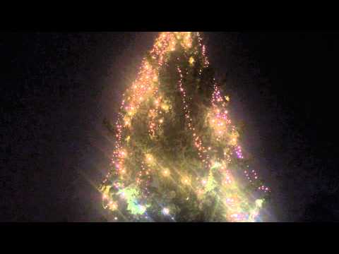 Video: Rozsvietenie stromčeka na Petržalských vianočných trhoch