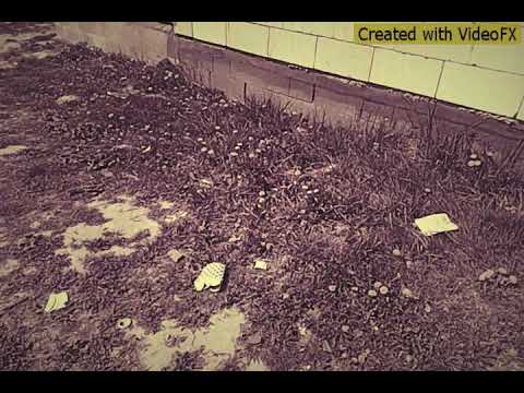 Adrián Band-Čaklov (OFICIALL KLIP) Ľúbim kvalitu