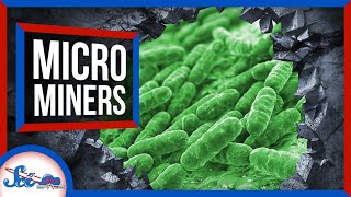 Using Microbes to Mine Mars: The Future of Biomining