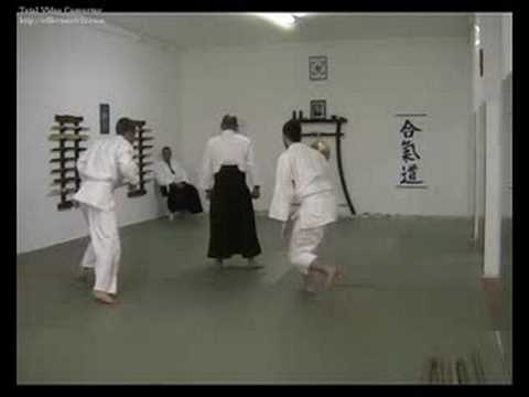 Aikido iwama floridia hagakure - ninin dori