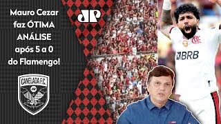 ‘Não dá, gente: o Flamengo tem um time caríssimo para…’; Mauro Cezar faz ótima análise após 5 a 0