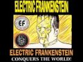 Electric Frankenstein - Coolest Little Monster