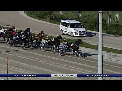 Aversa trotto 2 Marzo 2022 - 3° Corsa