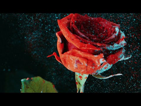 Martin Garrix & David Guetta - So Far Away (Alex Mendes Remix)