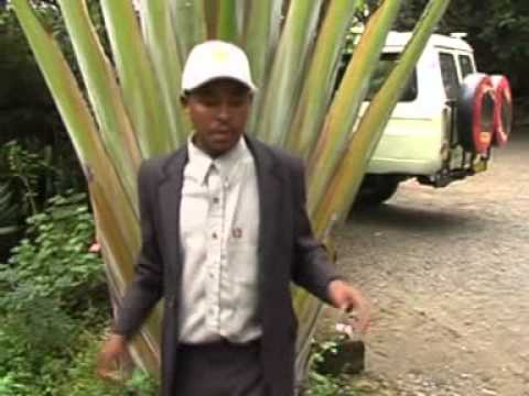 [OFFICIAL VIDEO] KIJANA MUMO - EKO KILUNDA / BEST TOP NEW KAMBA SONG