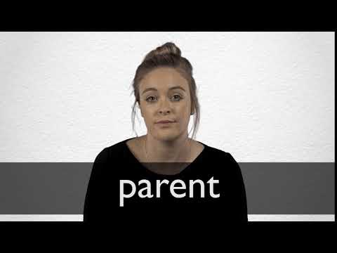 Hindi Translation Of Parent Collins English Hindi Dictionary