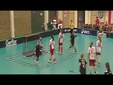 Floorball Deutschland Tor der Saison 2013/2014