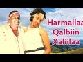 Harmallaa Qalbiin Xaliilaa Abdusalaam Haajii Wallee Afaan Oromoo Ragaamedia