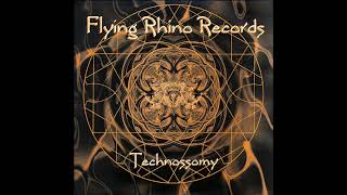 Technossomy - Make It Fit EP (VTOL,Porcupine,Electron Bender)1996 [Goa Trance] Flying Rhino Records