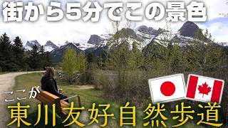 ただの街歩きが本っ当に気持ちいい新緑のキャンモア。観光で来るのもお勧めです。