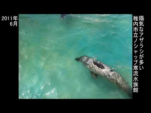 Junio ​​de 2011 Excursión de un día a Wakkanai.