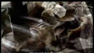 Goethes Erben: paradoxie stille