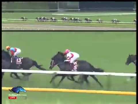 2013.05.26 Meguro Kinen - Mousquetaire