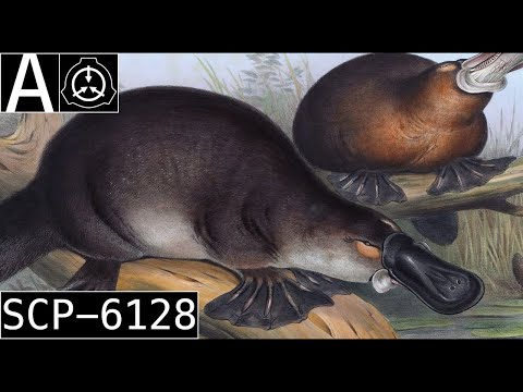 SCP-6128 "Platypus Magnet" [SCP Wikidot]