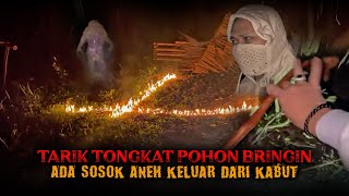 Download lagu HORRIBLE GENIE VILLAGE!!! mp3