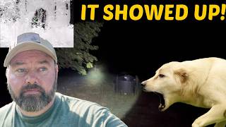 Our Livestock Guardian Dog Lost It When This Showed Up In The Dark!