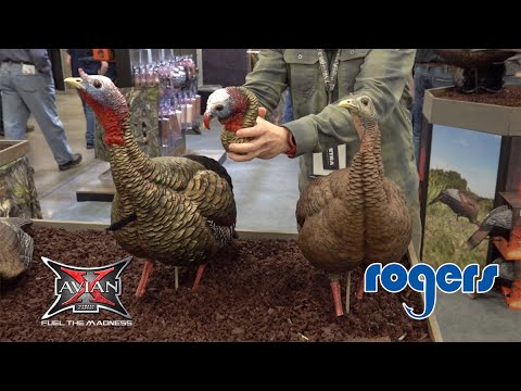 Avian-X Turkey Decoys