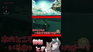 ゼル伝初心者が英雄になったあとの物語  199 #ゲーム実況 #shorts #short #ゲーム #ゼルダの伝説