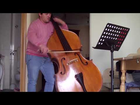 ANNIBALE MENGOLI studio n.5