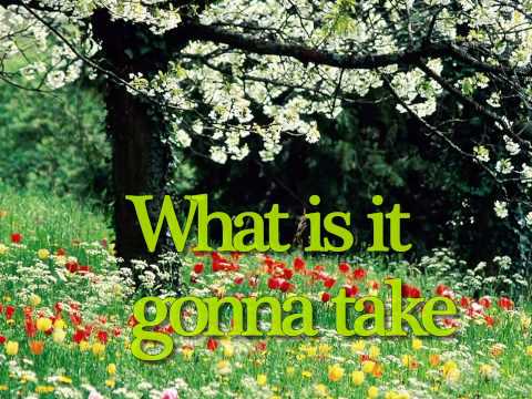 Thumbnail for Fly to You video