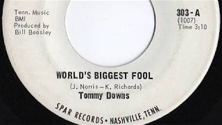 Tommy Downs - &quot;World&#39;s Biggest Fool&quot;