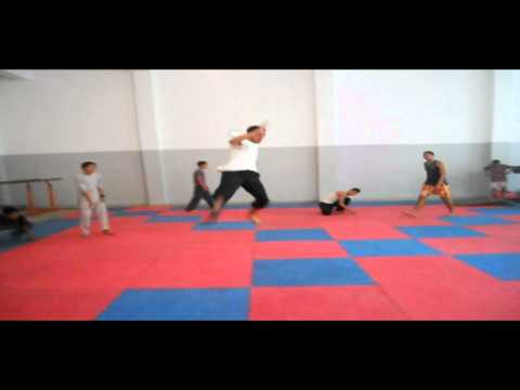 Amine Haddar -Training