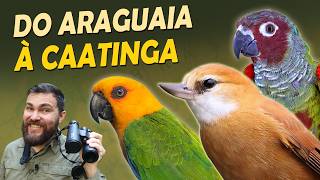 Miniatura do vídeo