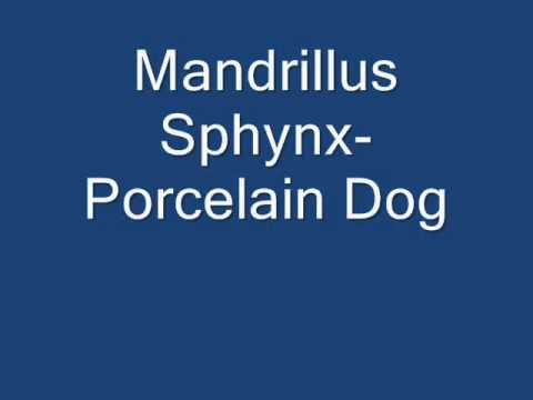 Mandrillus Sphynx-  Porcelain Dog